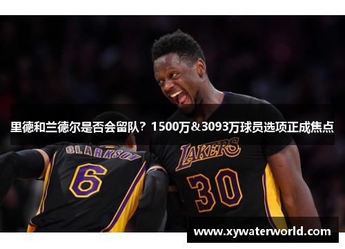 里德和兰德尔是否会留队？1500万&3093万球员选项正成焦点