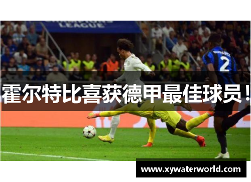 霍尔特比喜获德甲最佳球员！